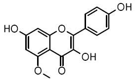 Kaempferol 5-methyl ether