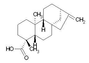 Kaurenoic acid