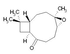 Kobusone