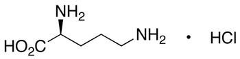 L-Ornithine Hydrochloride