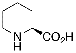 L-Pipecolic Acid