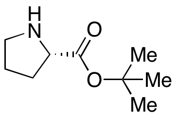 L-Proline tert-Butyl Ester