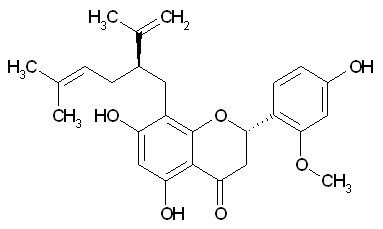 Leachianone A