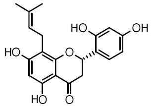 Leachianone G