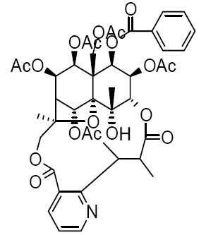 Mayteine