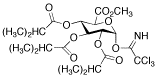 Methyl 2,3,4-Tri-O-isobutyryl-1-O-trichloroacetimidoyl-α-D-glucopyranuronate