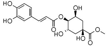 Methyl 4-caffeoylquinate