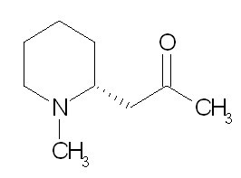 Methylisopelletierine