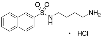 N-(4-Aminobutyl)-2-naphthalenesulfonamide Hydrochloride