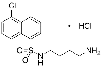 N-(4-Aminobutyl)-5-chloro-1-naphthalenesulfonamide Hydrochloride