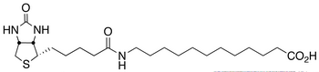 N-Biotinyl-12-aminododecanoic Acid