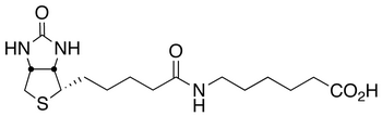 N-Biotinylcaproic Acid