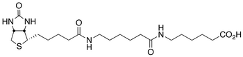 N-Biotinylcaproylaminocaproic Acid