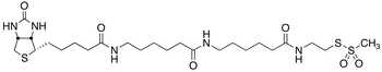 N-Biotinylcaproylaminocaproylaminoethyl Methanethiosulfonate