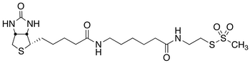 N-Biotinylcaproylaminoethyl Methanethiosulfonate