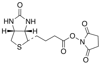 N-Succinimido (+)-Biotin