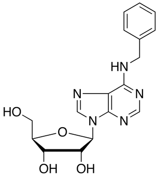 N6-Benzyl Adenosine