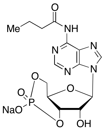 N6-Monobutyryladenosine 3’:5’-Cyclic Monophosphate Sodium Salt