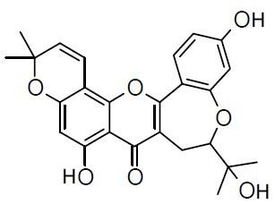 Neocyclomorusin