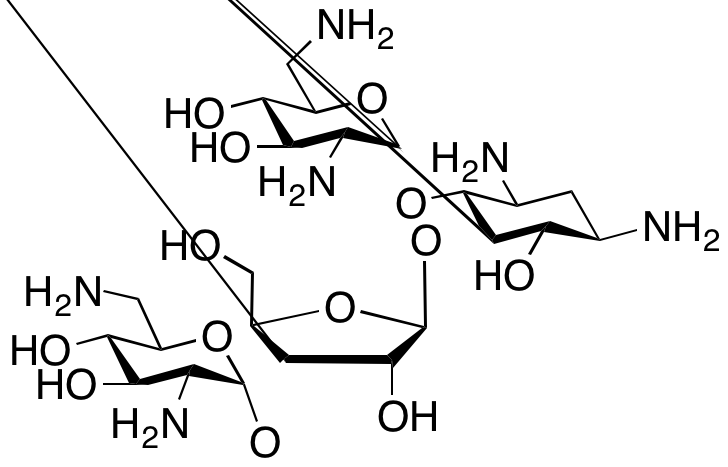 Neomycin C