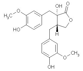 Nortrachelogenin