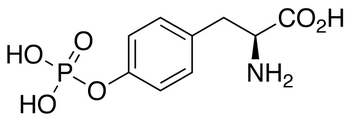 O-Phospho-L-tyrosine