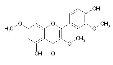 Pachypodol