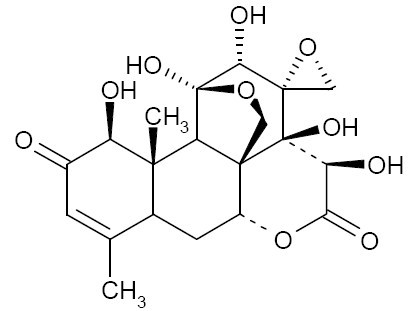 Pasakbumin B