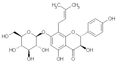 Phellamurin