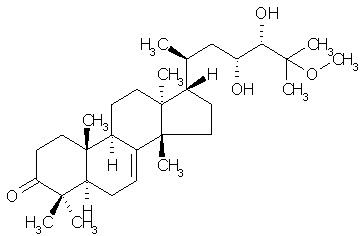 Phellochin