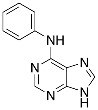 Phenyl(9H-purin-6-yl)amine