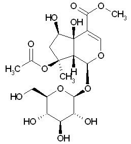 Phlorigidoside B