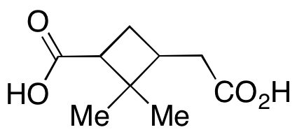 Pinic Acid (Diastereomeric Mixture)