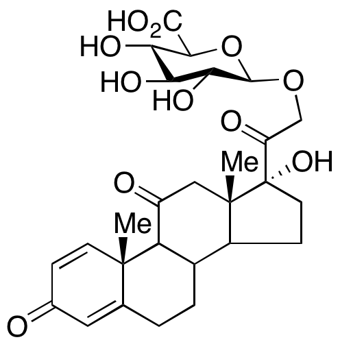 Prednisone Glucuronide