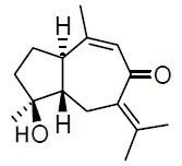 Procurcumenol