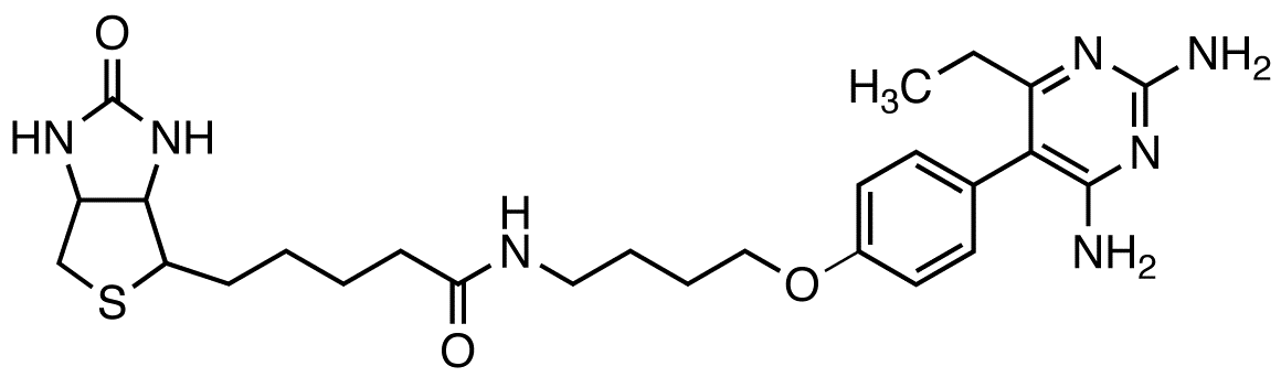 Pyrimethamine Biotin