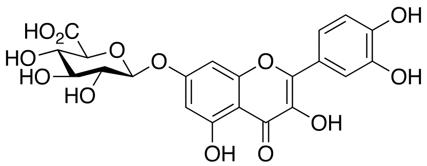 Quercetin 7-O-β-D-Glucuronide