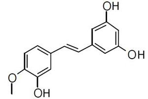 Rhapontigenin