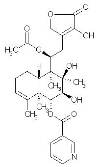 Scutebata C