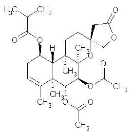 Scutebata E