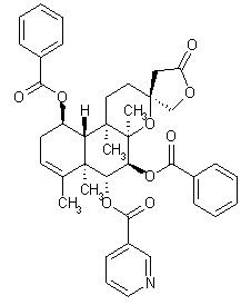 Scutebata G