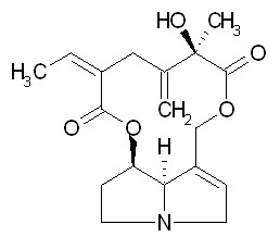 Seneciphylline