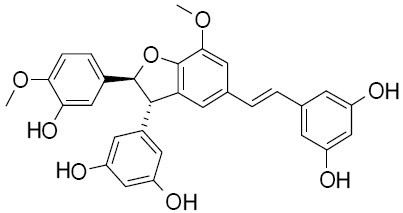 Shegansu B