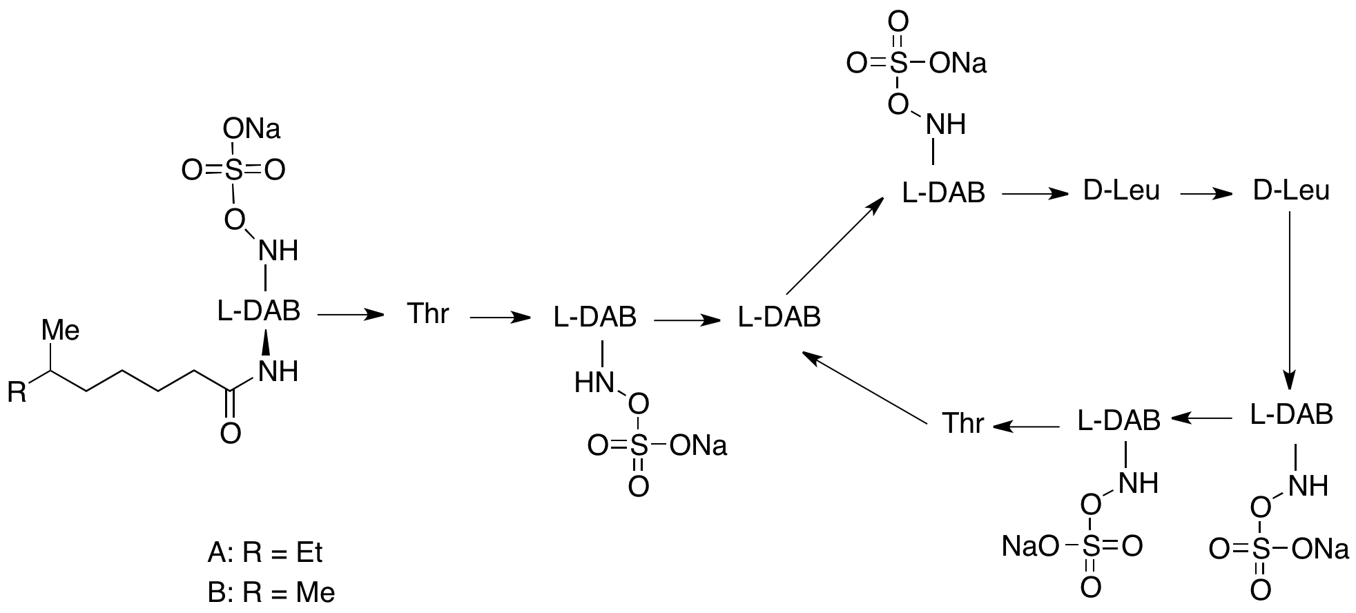 Sodium Colistin Methanesulfonate (~400 μg/mg)