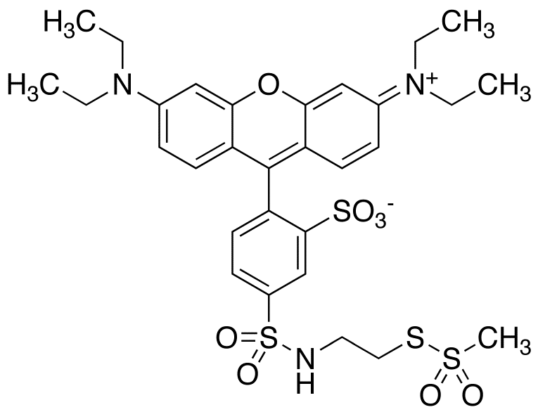 Sulfo Rhodamine Methanethiosulfonate