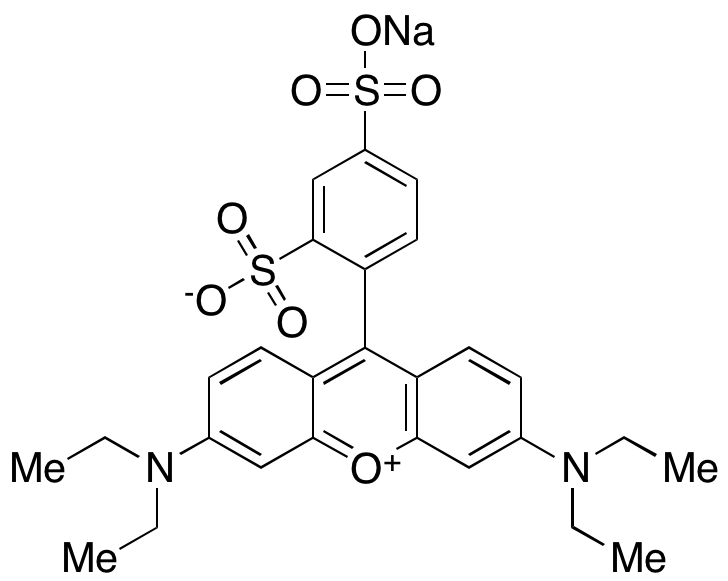 Sulforhodamine B Sodium Salt