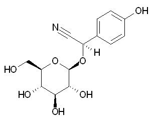 Taxiphyllin