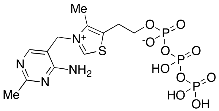 Thiamine Triphosphate