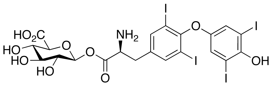 Thyroxine Acyl-β-D-Glucuronide