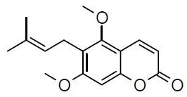 Toddaculine